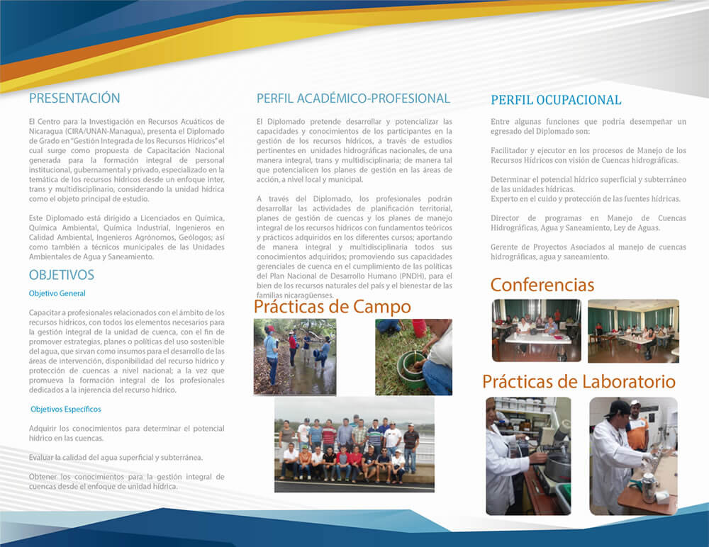 brochure diplomadopag2