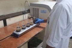 rqa11