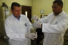 rqa7-copia