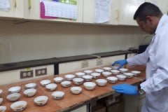 rqa9