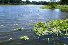 PASO-PANALOYA.JPG