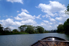 RIO-PUNTA-GORDA_0.JPG
