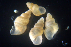 P3060008