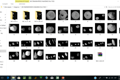 taxonomia_de_foraminiferos (4)