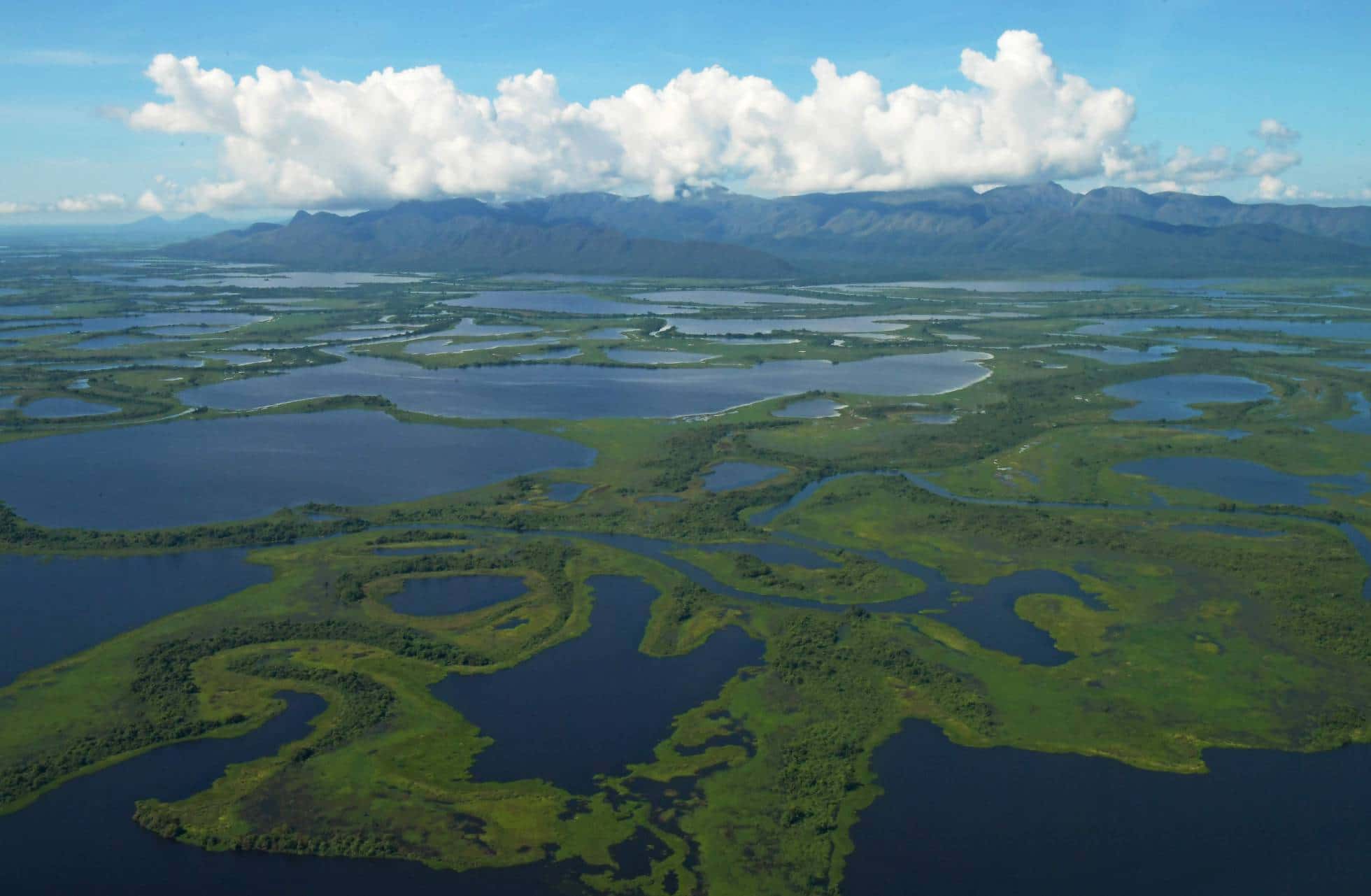 Día Mundial del Agua: El verdadero oro líquido